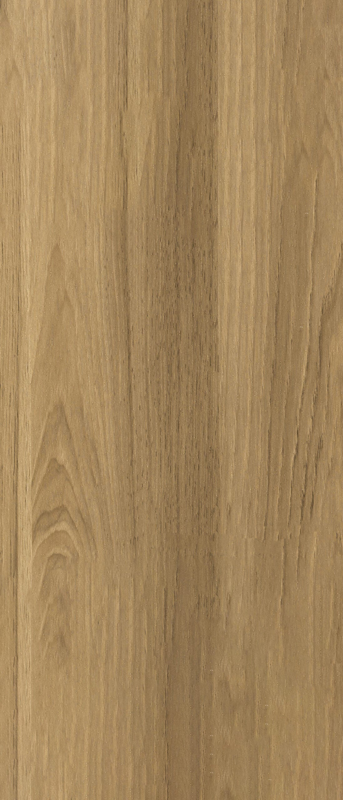 Koolstofpaneel ALPINE OAK