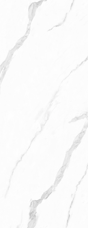 Koolstofpaneel CALACATTA WHITE MAT