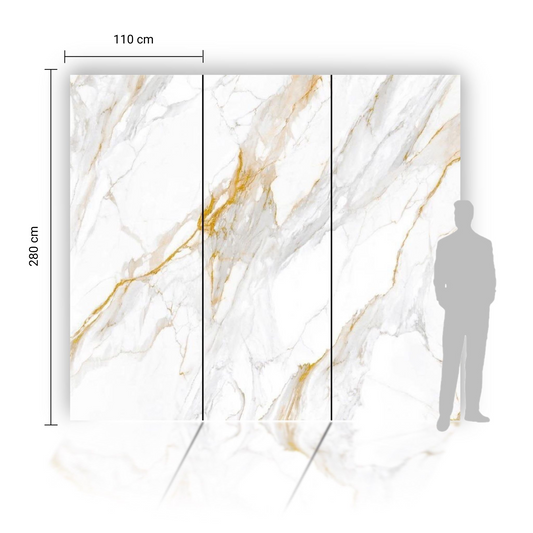 Koolstofpaneel Golden Grey Gloss