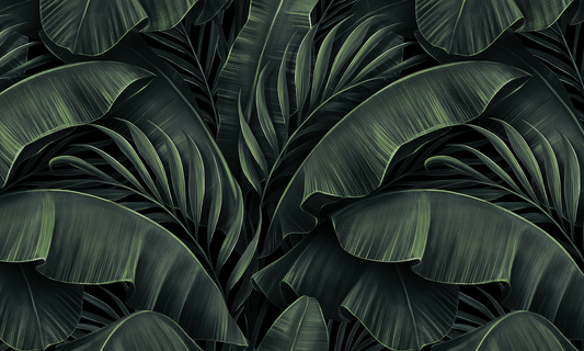 Exotic elegance 2
