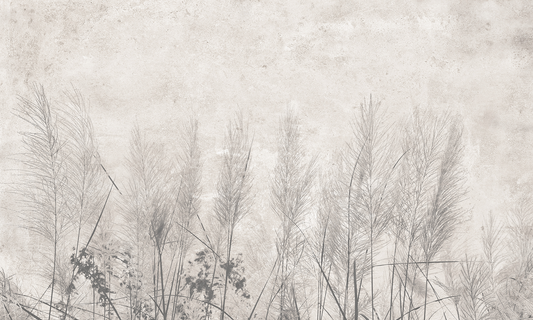 Morning Mist