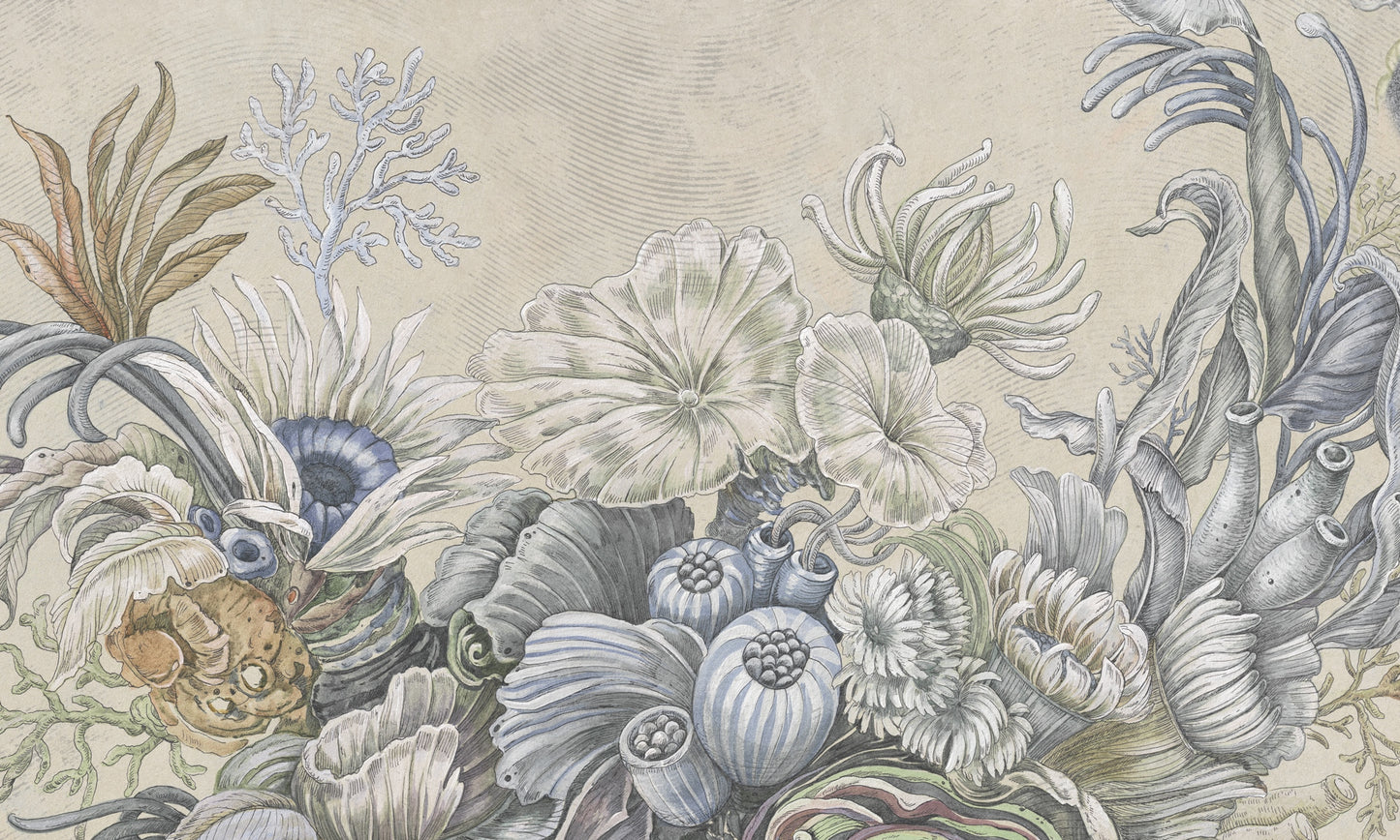 Reef reveries