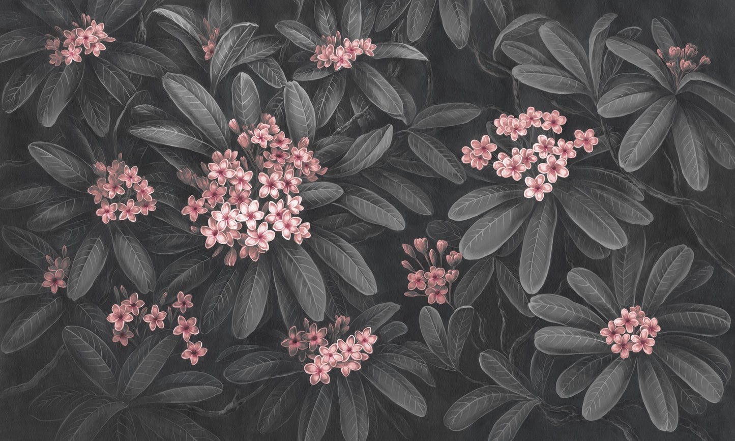 Frangipani 2