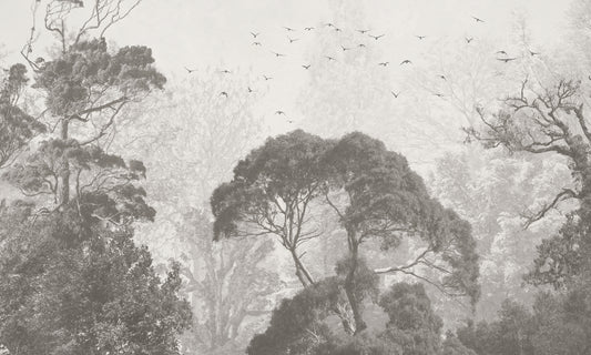 Rainforest