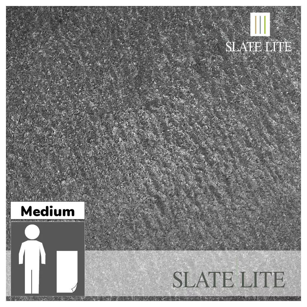Natuursteen Slate-Lite Galaxy Black Pure