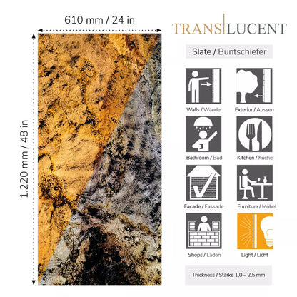 Natuursteen Translucent SLATE LITE Blanco