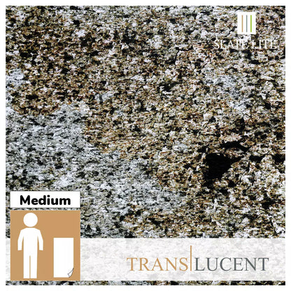 Natuursteen Translucent SLATE LITE Argento Auro