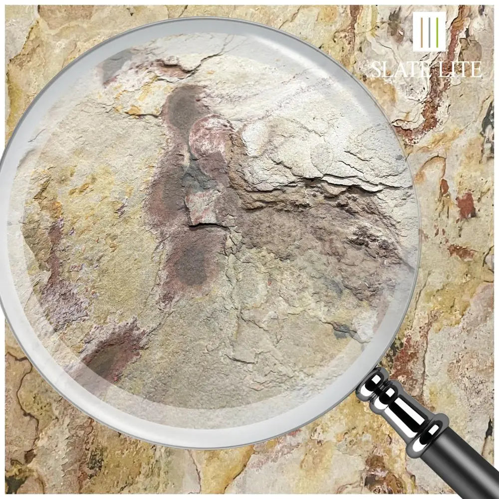 Natuursteen Translucent SLATE LITE Falling Leaves Sample