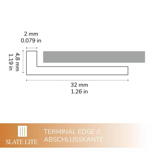 Profiel Terminal Edge staal F-Line 250 cm