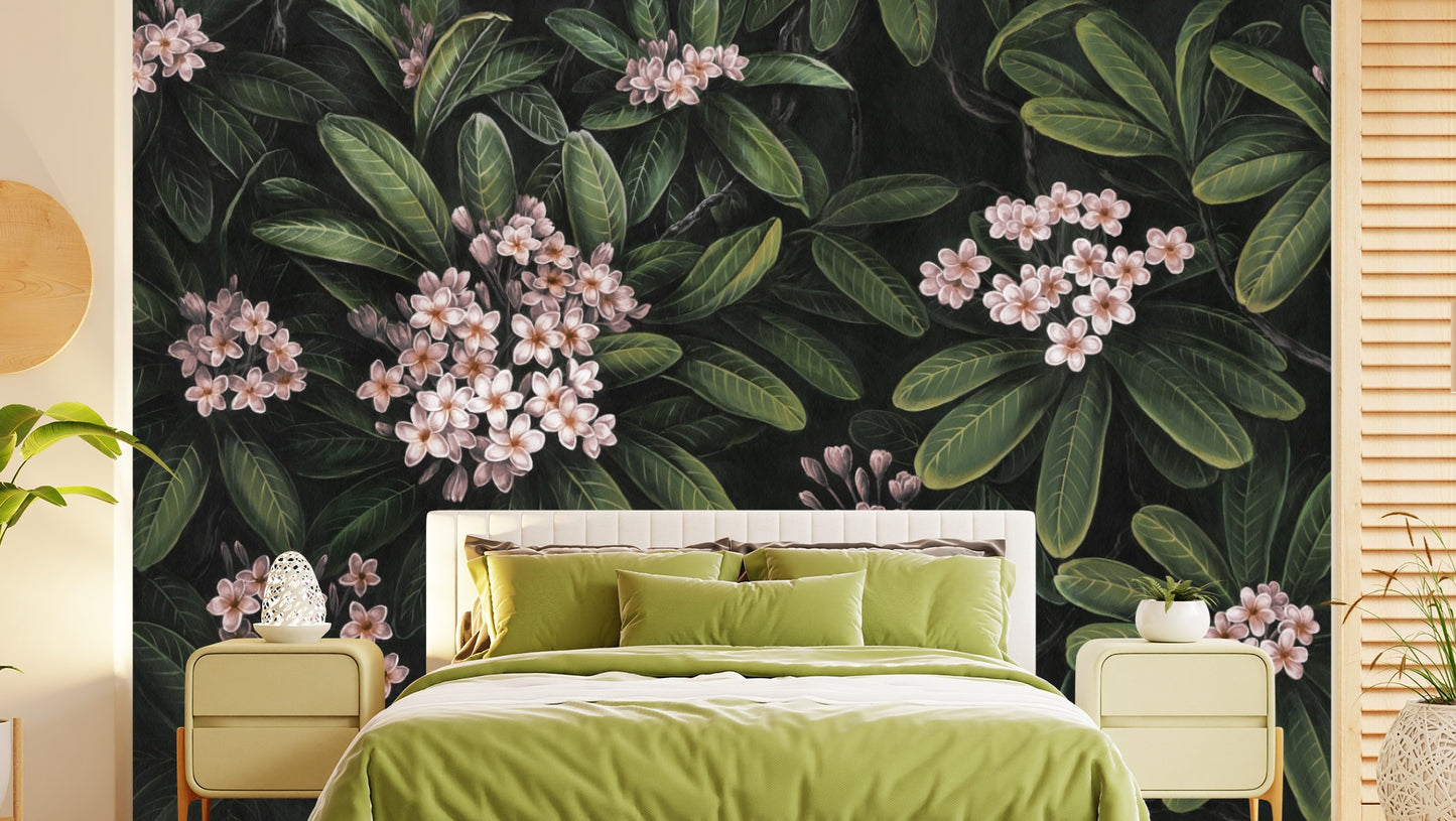 Frangipani