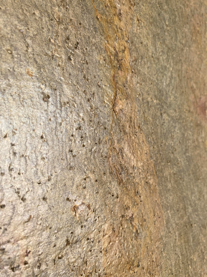 Natuursteen Plaat GENEVA Luxerion