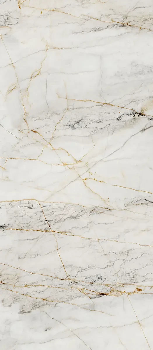 LUXE Koolstofpaneel ORO